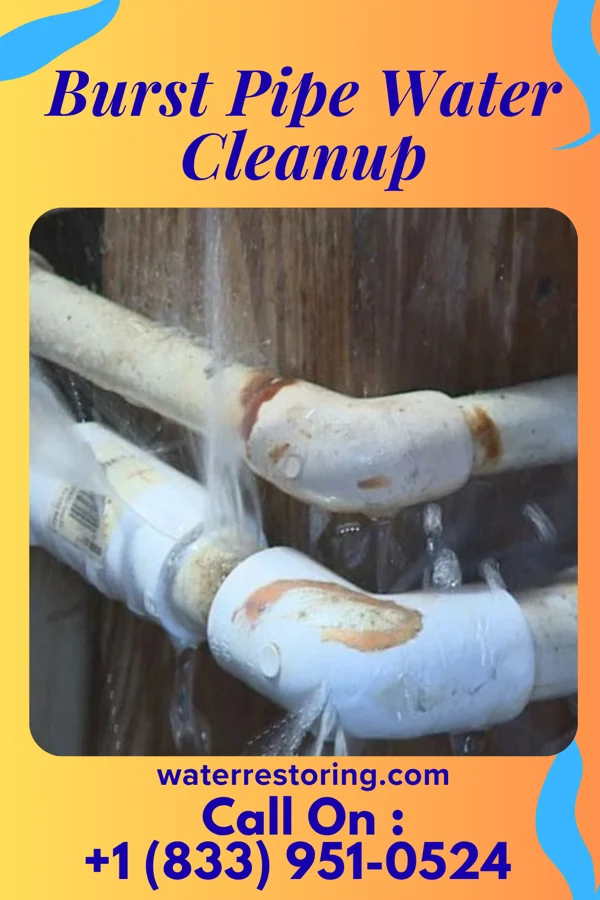 Burst Pipe Water Cleanup in Shelbina, MO