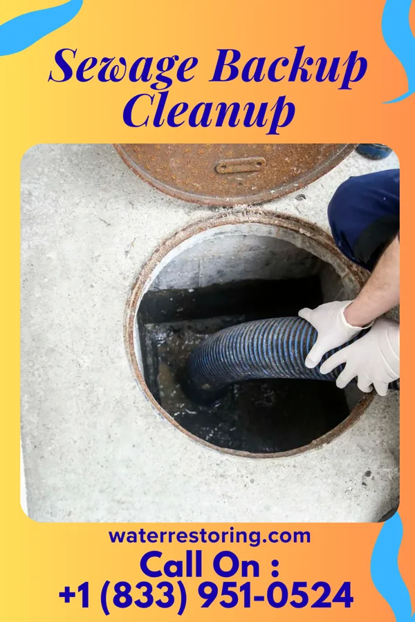 Sewage Backup Cleanup in Shelbina, MO