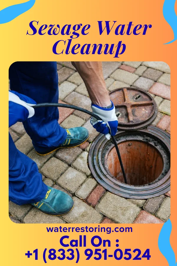 Sewage Water Cleanup in Shelbina, MO