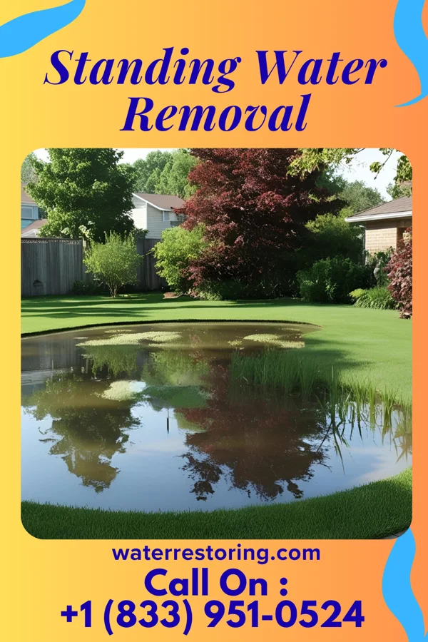 Standing Water Removal in Shelbina, MO